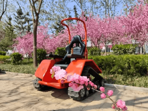 DONJOHNSTYLE4URHOME Electric All-Terrain Wheelchair, Style Options