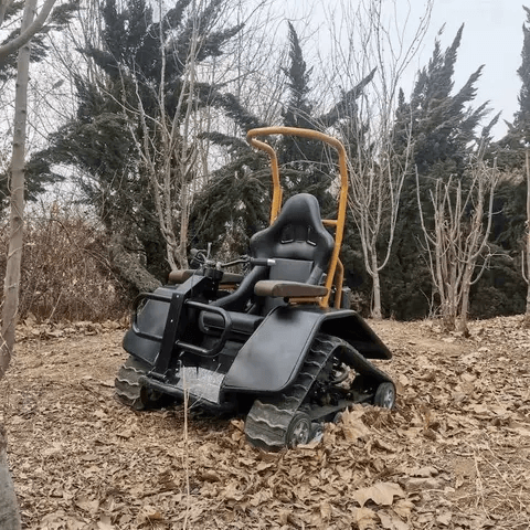 DONJOHNSTYLE4URHOME Electric All-Terrain Wheelchair, Style Options