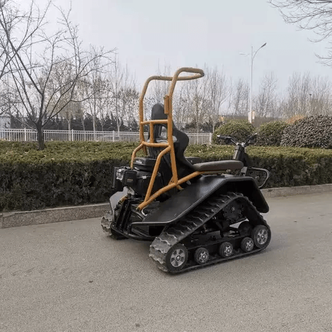DONJOHNSTYLE4URHOME Electric All-Terrain Wheelchair, Style Options