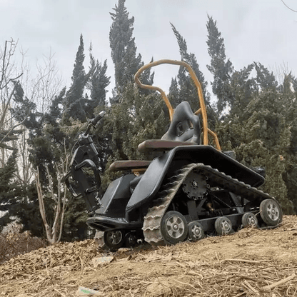 DONJOHNSTYLE4URHOME Electric All-Terrain Wheelchair, Style Options