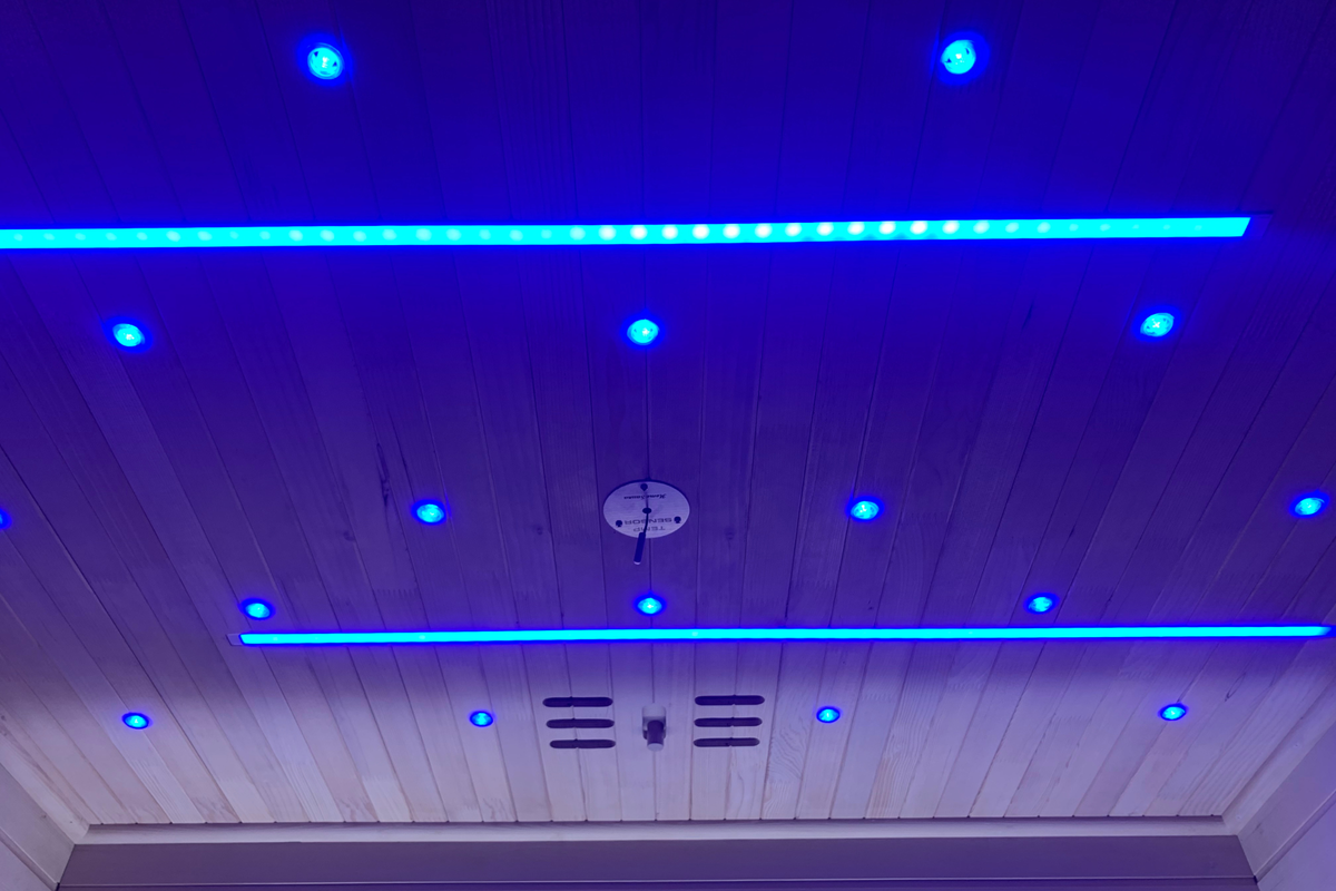 Blisspod Bergen 2-Person Full-Spectrum Infrared Sauna with Red Light Panel